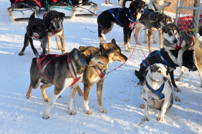 Huskies raring to go