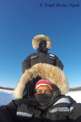 Northern Outdoor Adventure Tour Drive Your Own Dog Sled