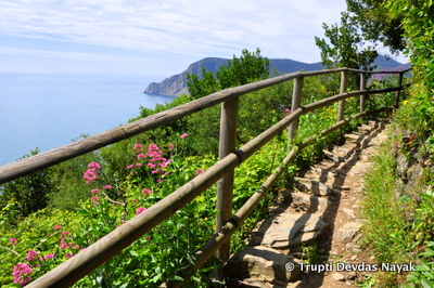 Trails Cinque Terre