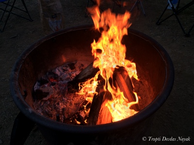 Campfire Henry Coe State Park