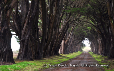 Point Reyes Hostel