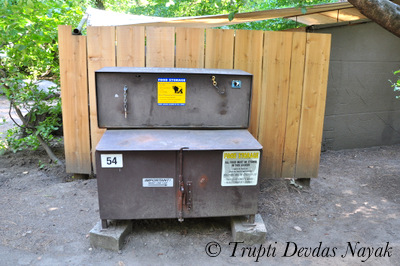 Bear Proof Box Yosemite