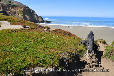 Pacifica Beach