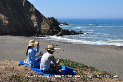Picnic By The Beach Pacifica