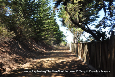 Shaded Walking Trail