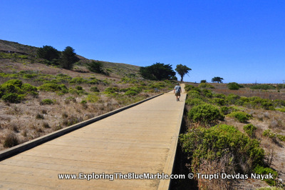 Wooden Pathway To Beach