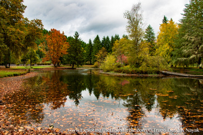 Fall Colors Reflections