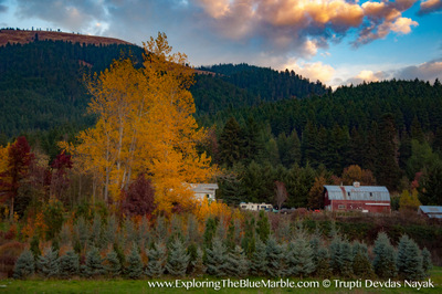 Fall Colors Sunset Oregon