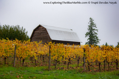 Fall Colors Winery Portland Oregon