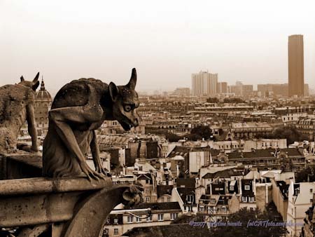 Gargoyle Eye in Paris
