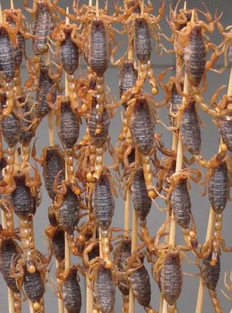 Fried Scorpions China