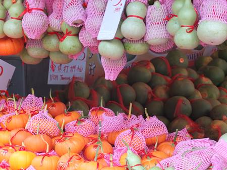 Singapore Gourds