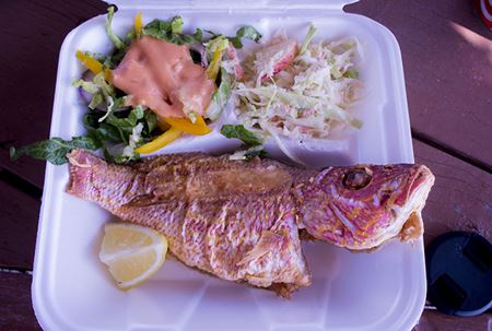 Fried fish lunch Long Island Bahamas