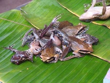 Snack time along the Mekong