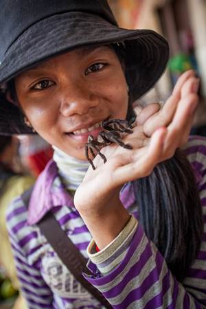 Tarantula Snack Cambodia