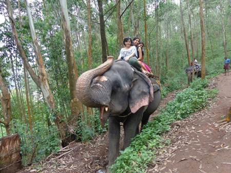 Elephant Ride with Besties in Munar