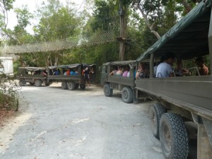 Selvatica army trucks