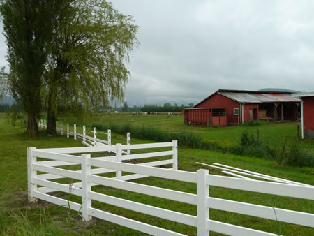 Cheese Farmhouse