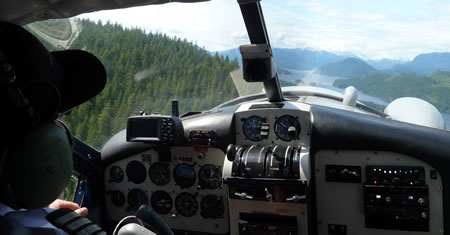 Pilot's view