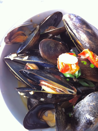 Rockwater mussels