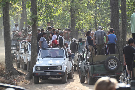 Tiger tourists in India