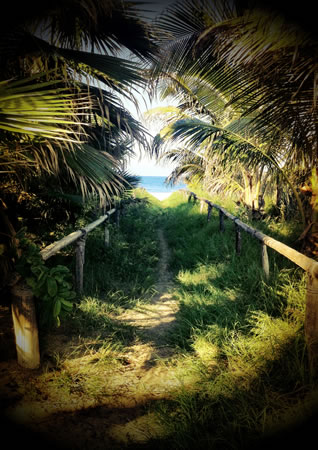 Baja Mexico beach path