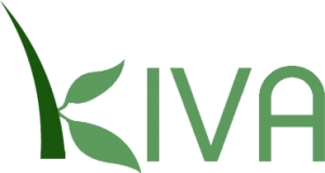 kiva-microlending