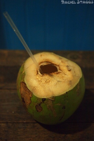 coconut water isla mujeres quintana roo mexico street food