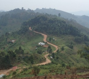 Ugandan Mountains