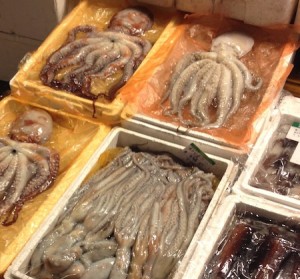 Octopus at Noryangjin Fish Market
