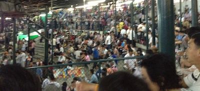 Muay Thai crowds