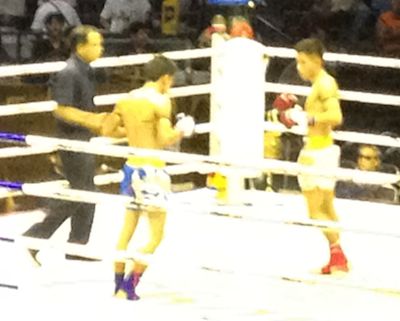 Muay Thai fighters