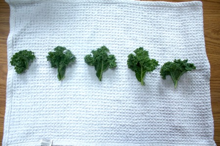 Kale pieces