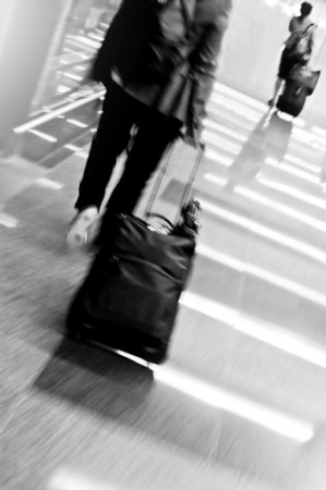 Business Traveler (299 x 450)