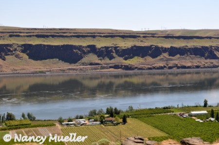 ColumbiaGorge