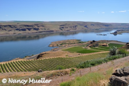 ViewfromMaryhillMuseum