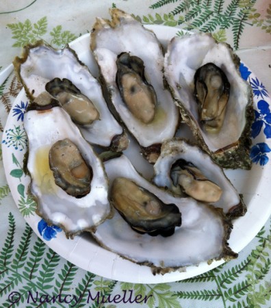 Oysters on the Half Shell