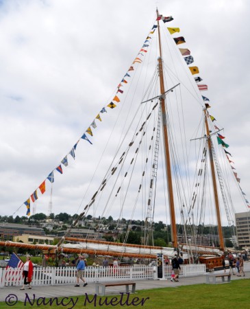 Schooner Zodiac