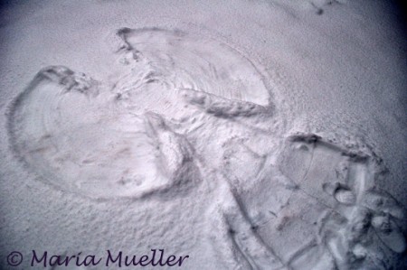 Seattle Snow Angel