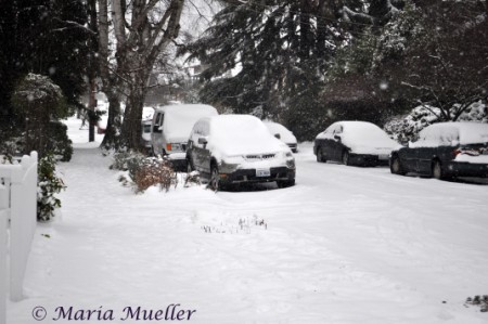 Snowy Seattle Neighborhood Street