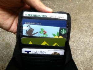 NW Travel Gear  Credit Cards Pocket