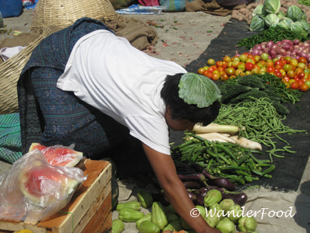 Head of Lettuce