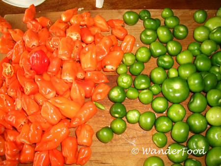 Pepperfest tomatoes and peppers