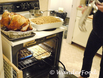 Thanksgiving Oven