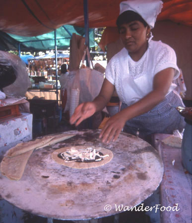 Mexican Tortillas Oaxaca