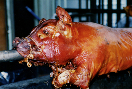 Pig on a spit