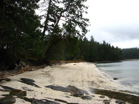 White shell beach at Montague Harbour Provincial Park