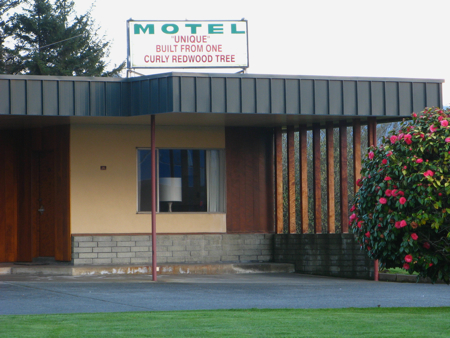 Curly Redwood Lodge, Crescent CIty, California