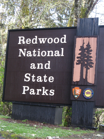 Redwood National and State Parks