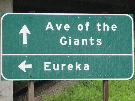 Avenue of the Giants